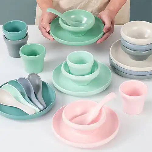 Japanese Sushi Tableware